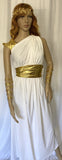 Cleopatras Lure face mask Halloween costumes rave wear festival outfits Cher Jasmine gorean toga lingerie bikinis reflective clothes